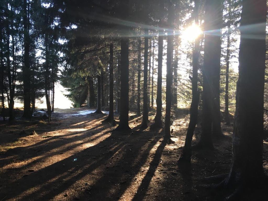 Apartmany Forest Kovářská المظهر الخارجي الصورة